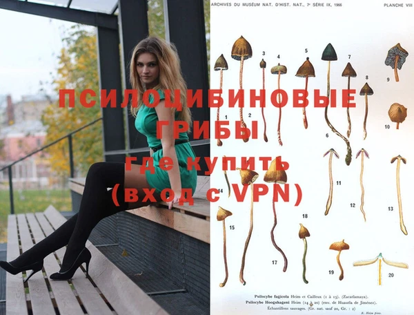 стаф Нягань