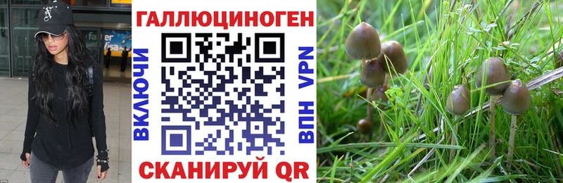 OMG рабочий сайт  Горячеводский  Псилоцибиновые грибы прущие грибы 